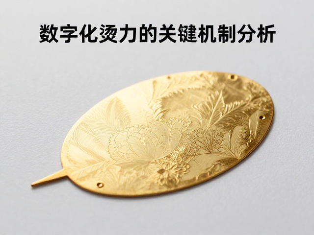 提升附着力的关键机制分析