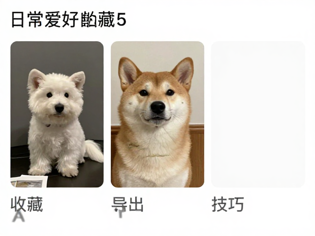 利用“收藏”功能查看并保存原图