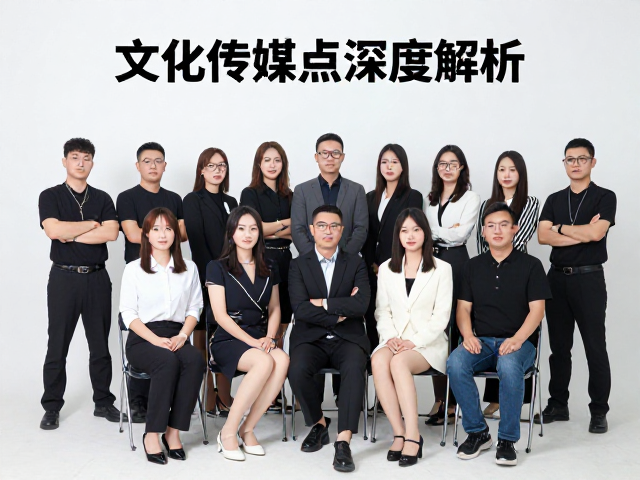 文化传媒工作室团队形象揭秘，核心利益点深度解析