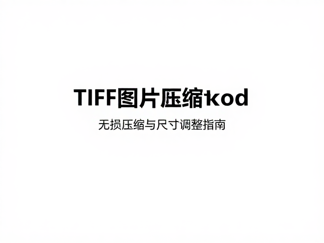 无损压缩策略与存储效率优化