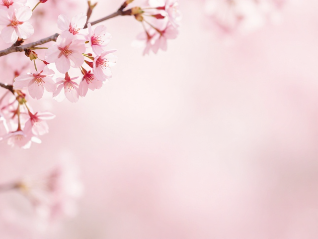 细节物件承载日常仪式感