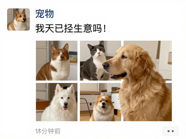 定格互动中的真实情绪
