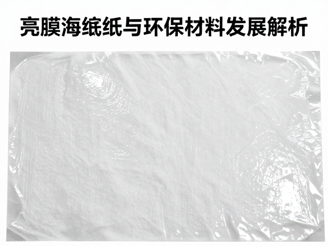 行业标准化与长期稳定性评估