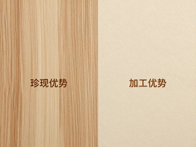 典型应用场景与行业适配性