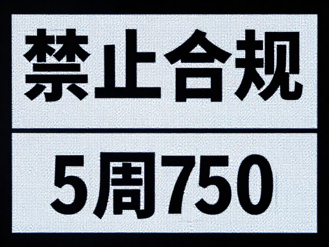 动态元素与静态信息的平衡法则