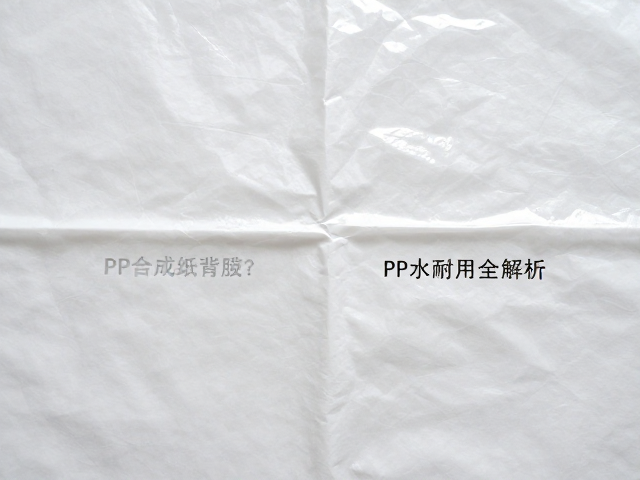 亮膜海报纸与PP合成纸背胶区别?高清不皱、防水耐用全解析