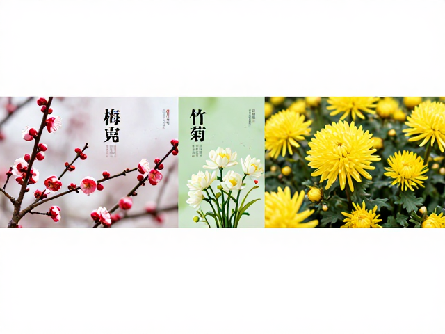 二十四节气梅兰竹菊电商主图海报设计灵感与SEO流量优化指南