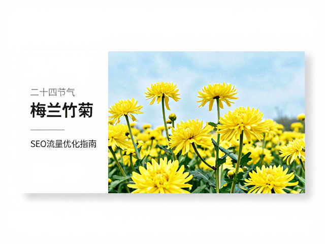 数据驱动的设计迭代与转化优化