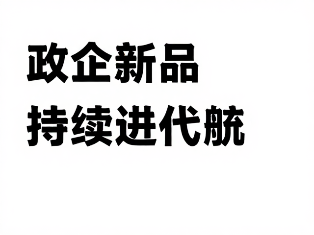执行落地与持续迭代机制