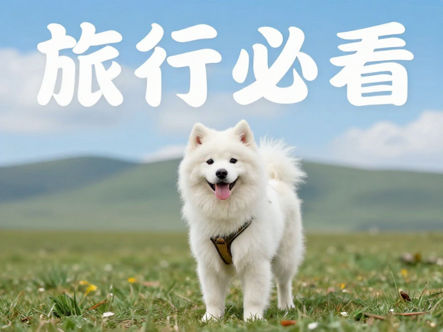 宠物主人必看！旅行记录海报这样拍，主体超突出