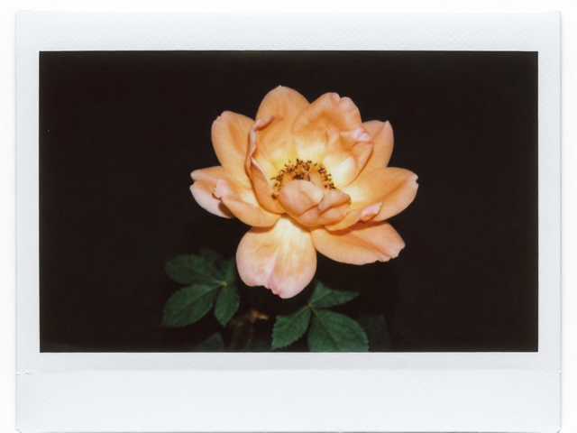 吸墨速度与色彩扩散的控制逻辑