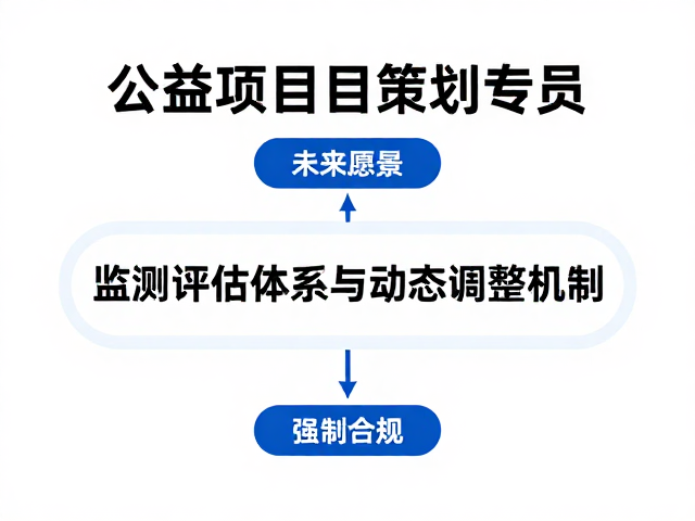 监测评估体系与动态调整机制