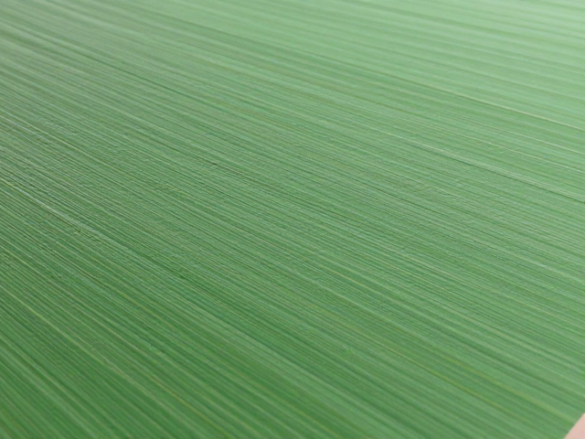 植物纤维纹理的视觉呈现与工艺控制