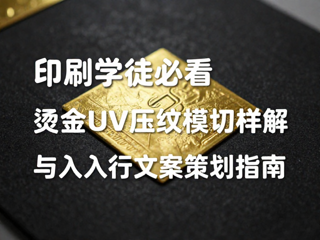 入行初期的技能构建与职业发展路径