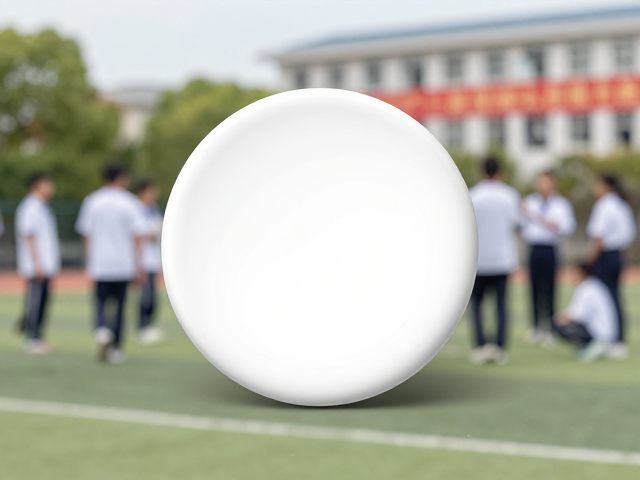 校园活动徽章，如何通过徽章激励提升集体凝聚力与德育评价实效