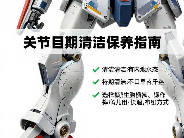 吉翁系机体通贩，关节定期清洁保养指南与选购建议
