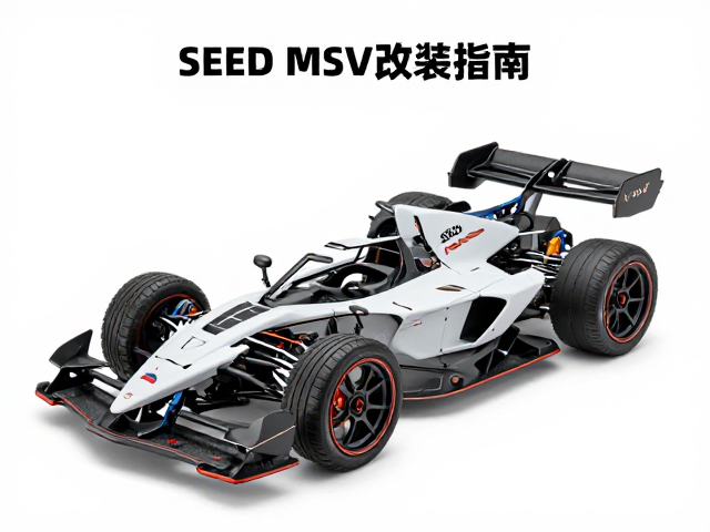 SEED MSV改装指南，打造极致性能的MS模型全解析