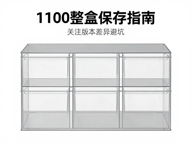 1/100比例整盒保存指南,关注版本差异避坑