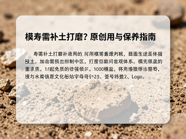 模寿需补土打磨？原创模型修复技巧与保养指南