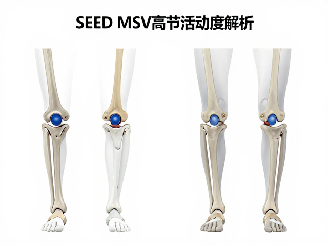 SEED MSV高关节活动度解析，活动范围测试与性能优化指南