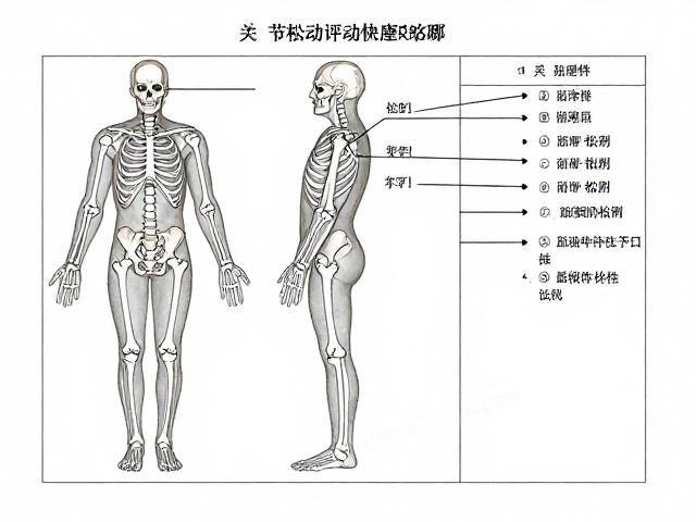 大型模型说明书，关节松动需调整步骤详解