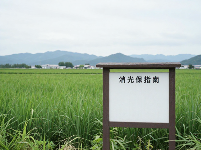 玩家投稿，日本静冈县消光保护指南，小众秘境打卡攻略
