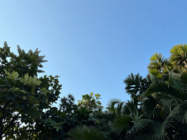 植被前景的遮挡与框架构图