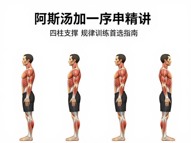 肩胛骨的运动轨迹与三角肌前束的激活
