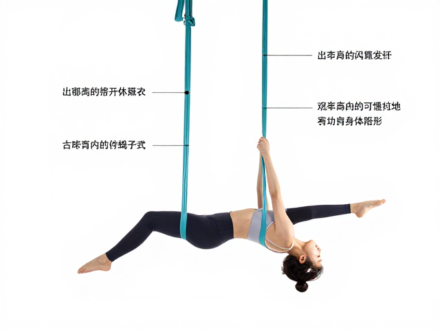 悬吊蝎子式的核心定义与身体力学机制