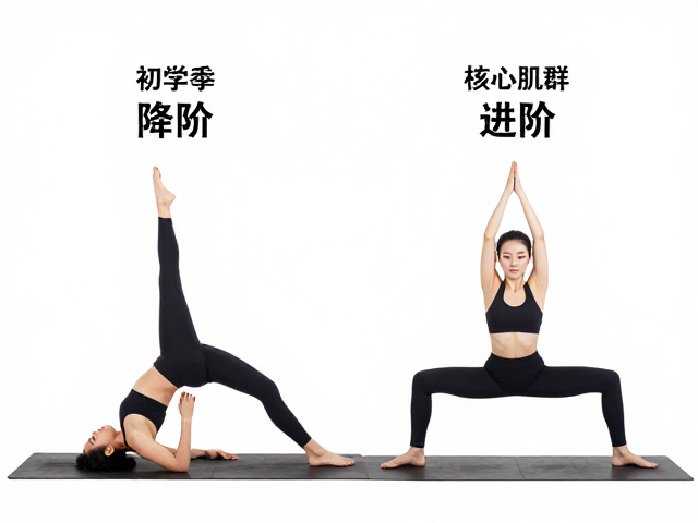 解锁核心肌群:力量瑜伽的底层逻辑与生理机制