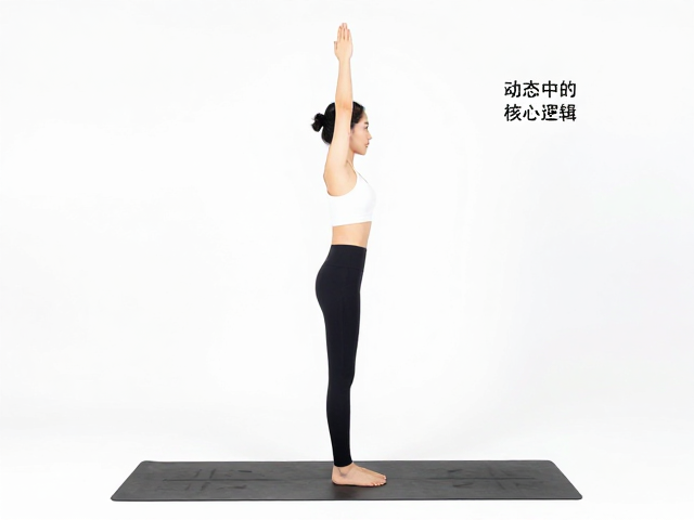 体式的进入与退出:动态中的觉知与保护