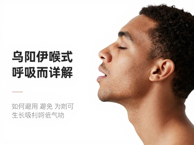 呼吸支持与气流控制的协同机制