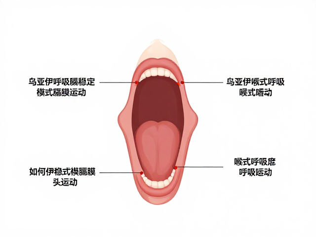 乌贾伊喉式呼吸详解，嘴巴参与如何稳定横膈膜运动？