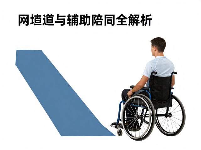 辅助陪同人员的职责边界与服务规范