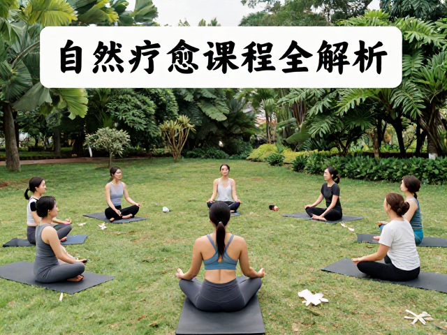 课程内容的生态融合与动作编排
