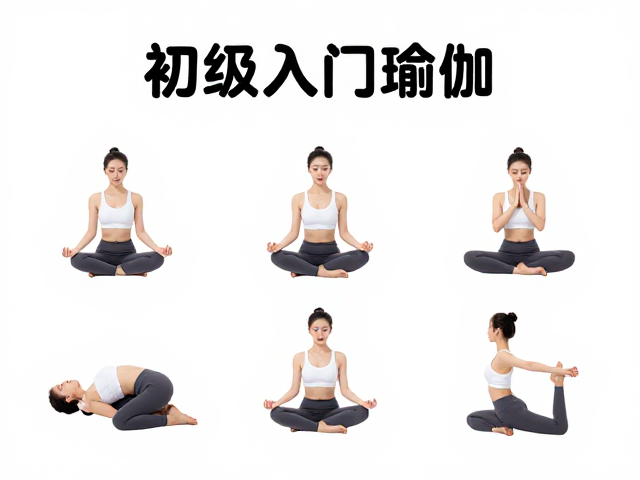 初级入门瑜伽指南:构建基础力量与柔韧性
