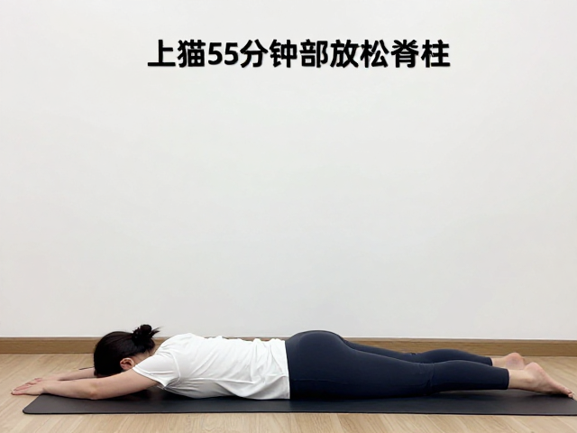 解锁髋部僵硬的动态拉伸逻辑