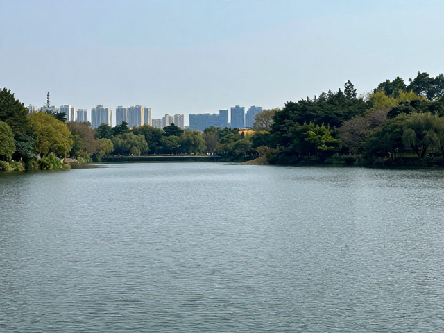 行进节奏与关键节点