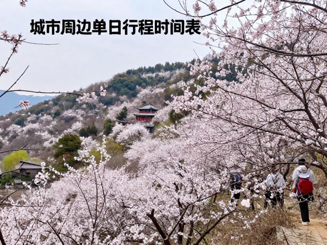 城市周边热门赏花徒步路线推荐