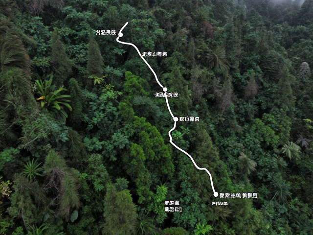 山林穿越徒步路线详细攻略,含无痕山野原则与紧急撤退点