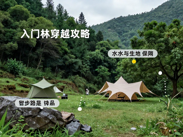 营地周边安全管理与应急准备