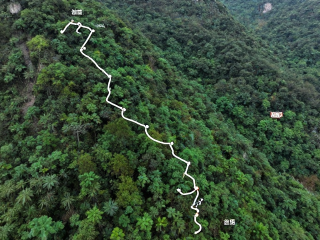 行进技巧与安全规范