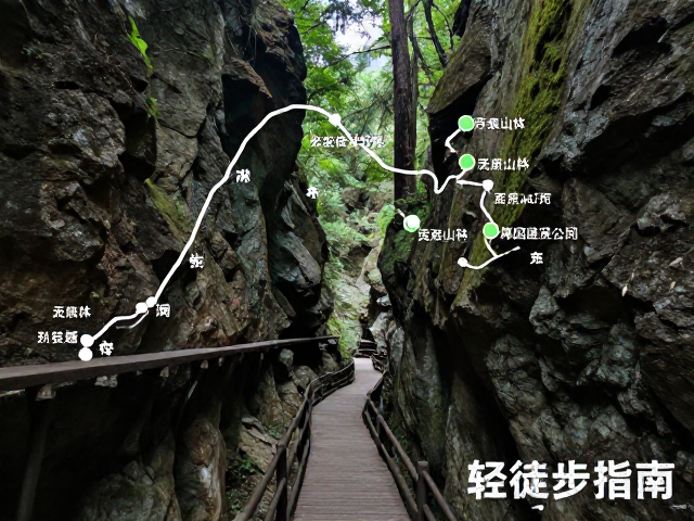 生态保护与无痕山林实践