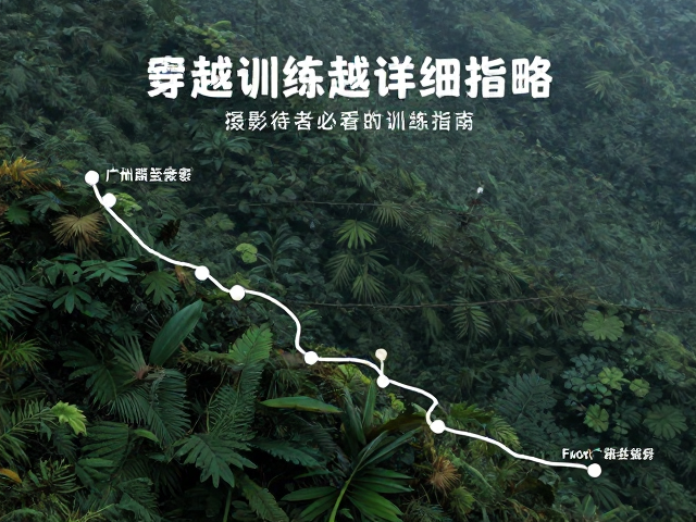 摄影爱好者必看的膝盖保护训练指南
