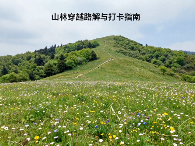 春季草甸花海徒步攻略，山林穿越路线详解与打卡指南