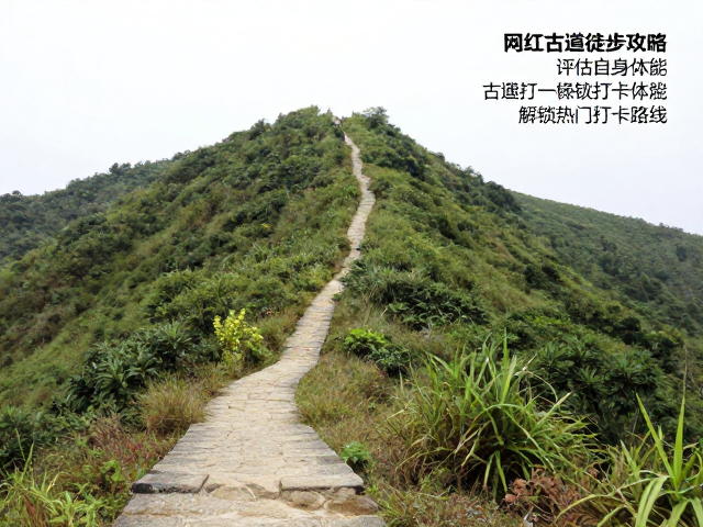 热门打卡路线解析:高人气古道的真实面貌