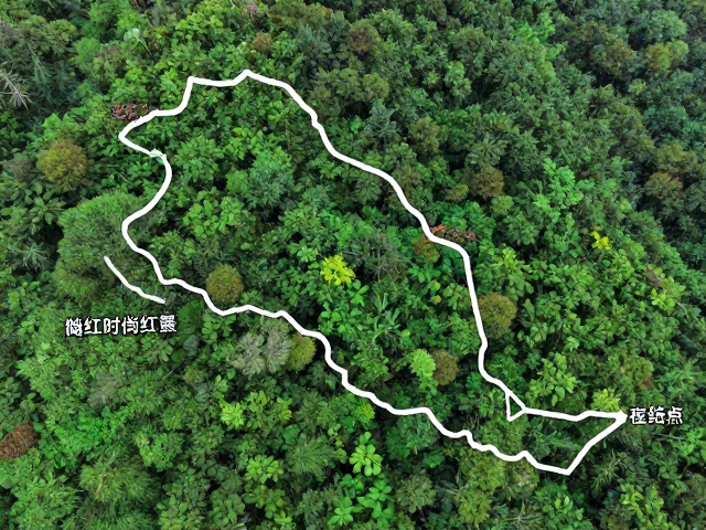 避开人流高峰的时间管理与路线规划策略