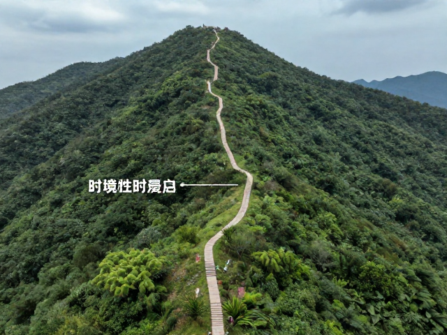秘境打卡点的摄影技巧与最佳机位推荐