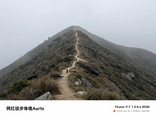 网红徒步路线包车攻略,避开旺季拥堵,轻松打卡热门秘境