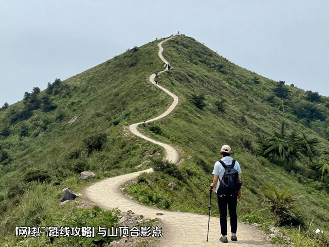 应对岔路与迷路策略